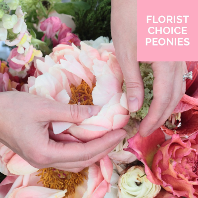 Florist Choice Peonies Product Image