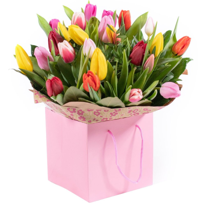 Tulip Temptations Product Image